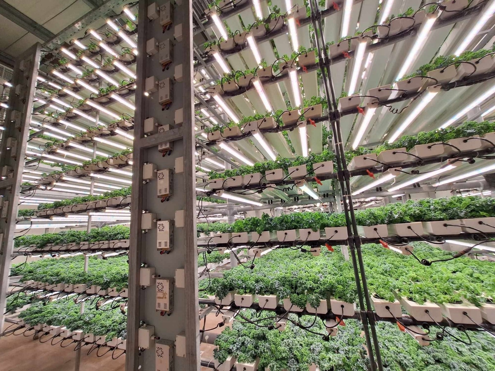 about-imageConsulting Farms