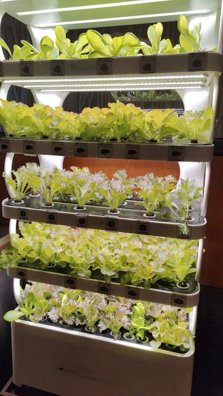 service-Consulting Farms